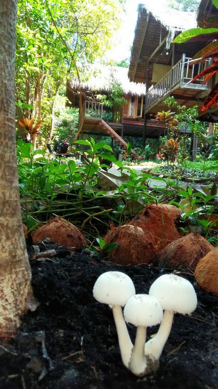 Kafair Hut (Adults Only) Hotel Koh Lipe Ngoại thất bức ảnh