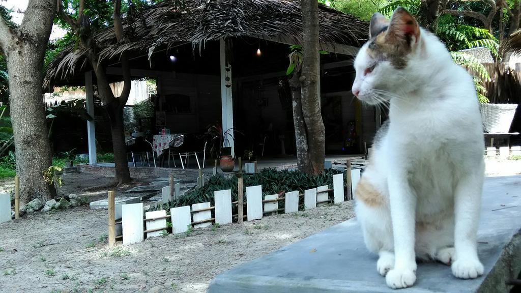 Kafair Hut (Adults Only) Hotel Koh Lipe Ngoại thất bức ảnh